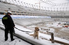 Trening psów policyjnych na Stadionie Narodowym w Warszawie - 24.01.2011.